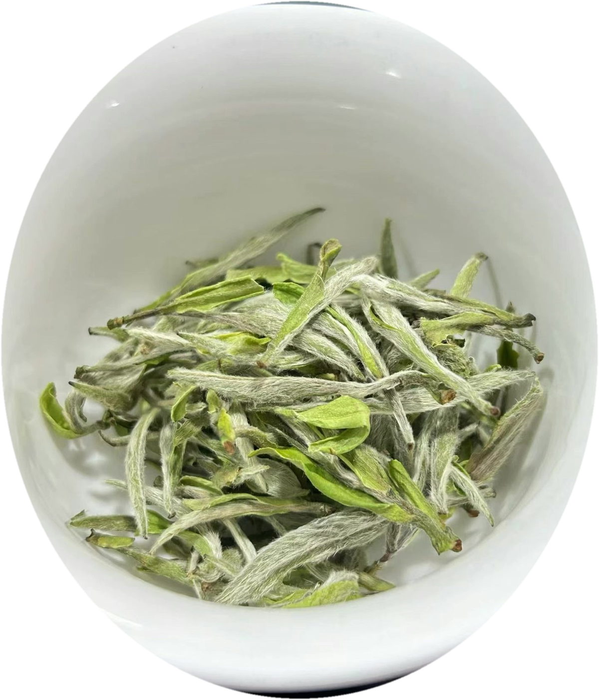 Dry King Peony in a white porcelain gaiwan — silver-downed buds and small first leaves