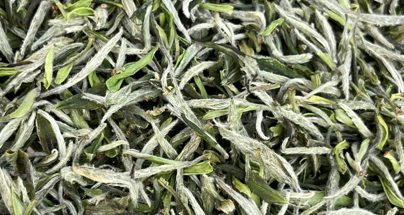Dry King Peony leaf in bulk — downy silver buds mixed with small green first leaves